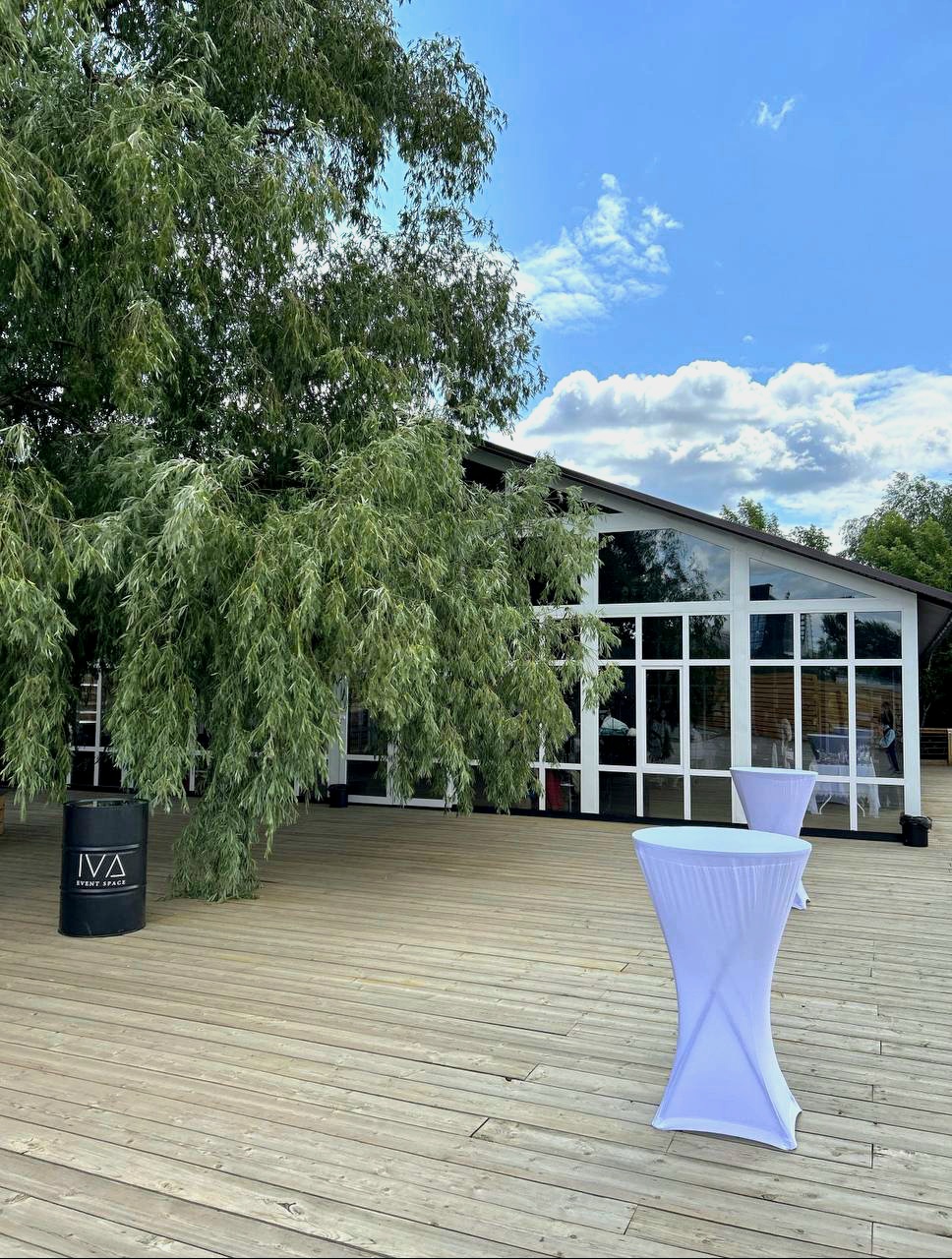 Банкетный зал 'Ива' - вид 2